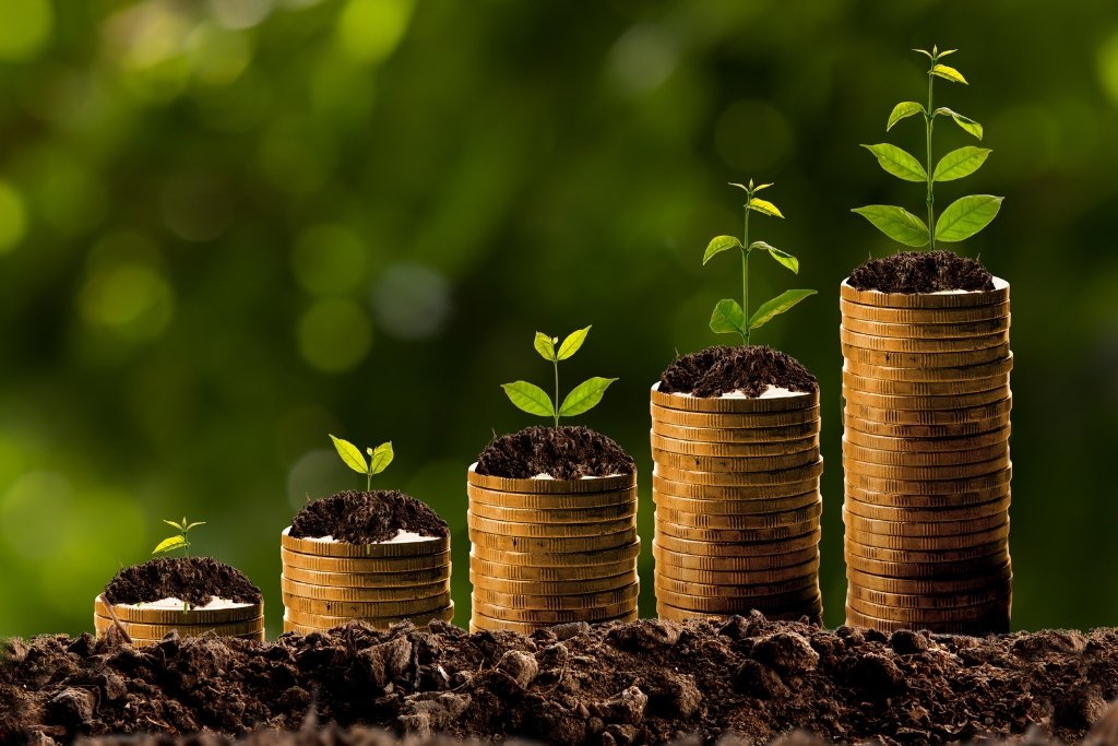 grow-your-business